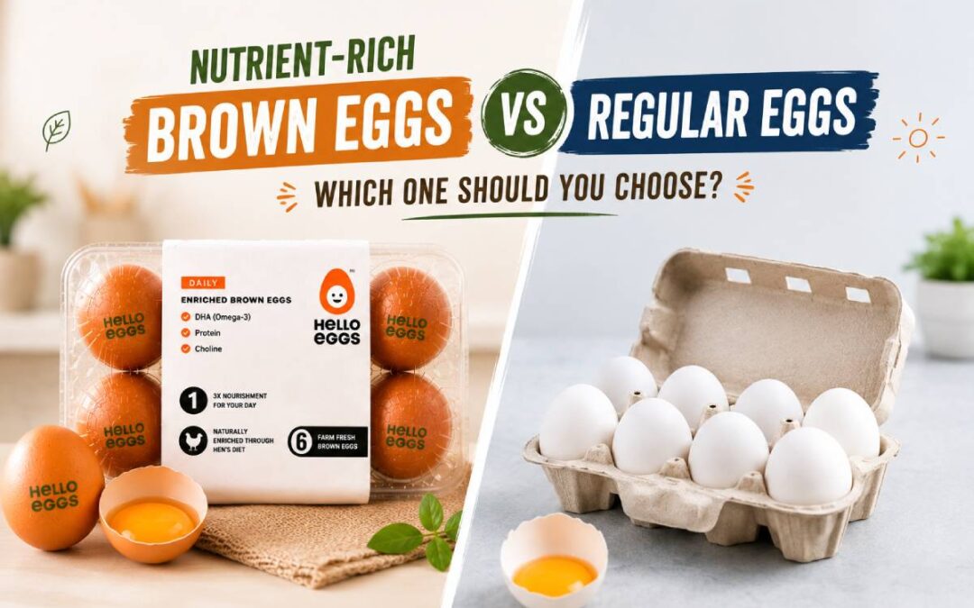 DHA Enriched Eggs vs Regular Eggs | Hello Eggs